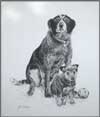 Cattle Dog & Pup