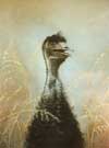 Emu
