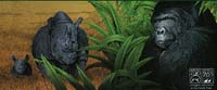 Gorilla & Black Rhino