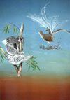 Koala & Lyre Bird